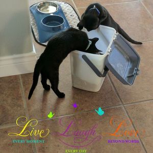 Meet your Posher, Katrina